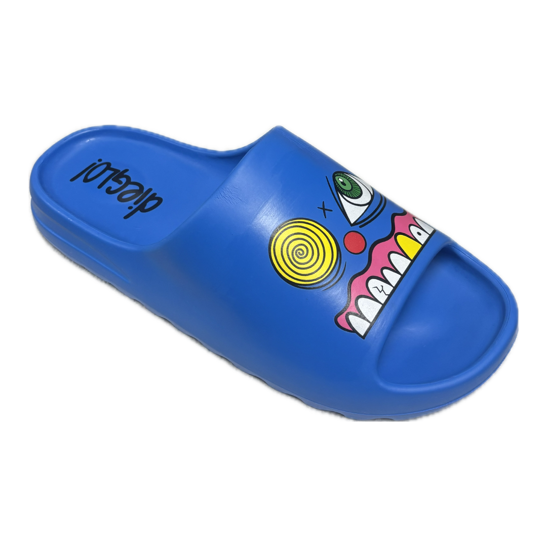 BLUE SHLIDES